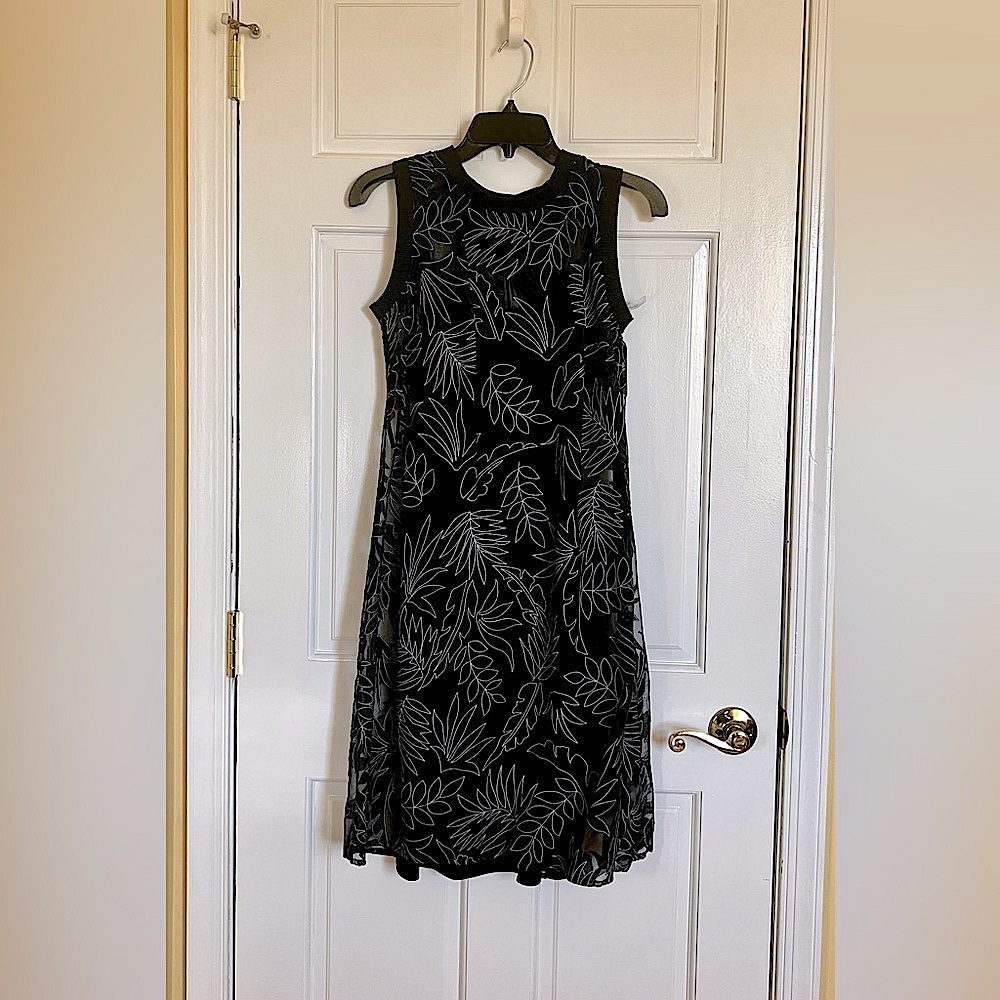 Sheer Dress